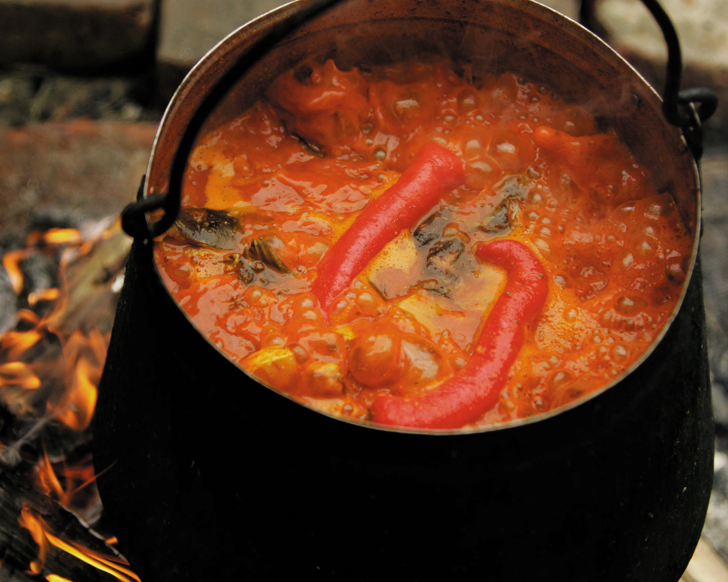 Croatia_Baranja_Gastro_0053.jpg