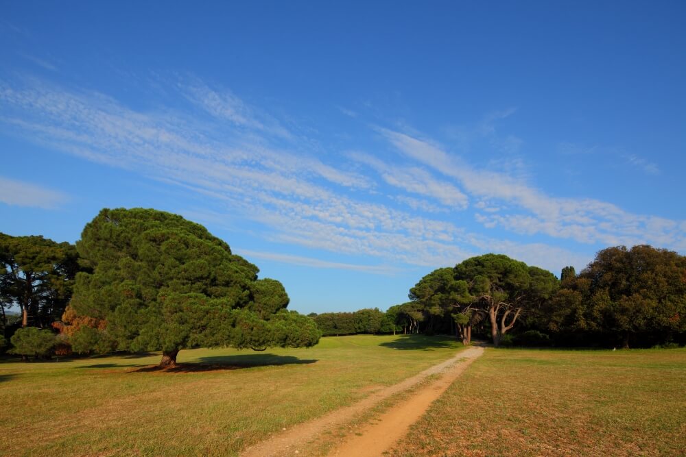 Park landscape of Brijuni © Mario Romulić.