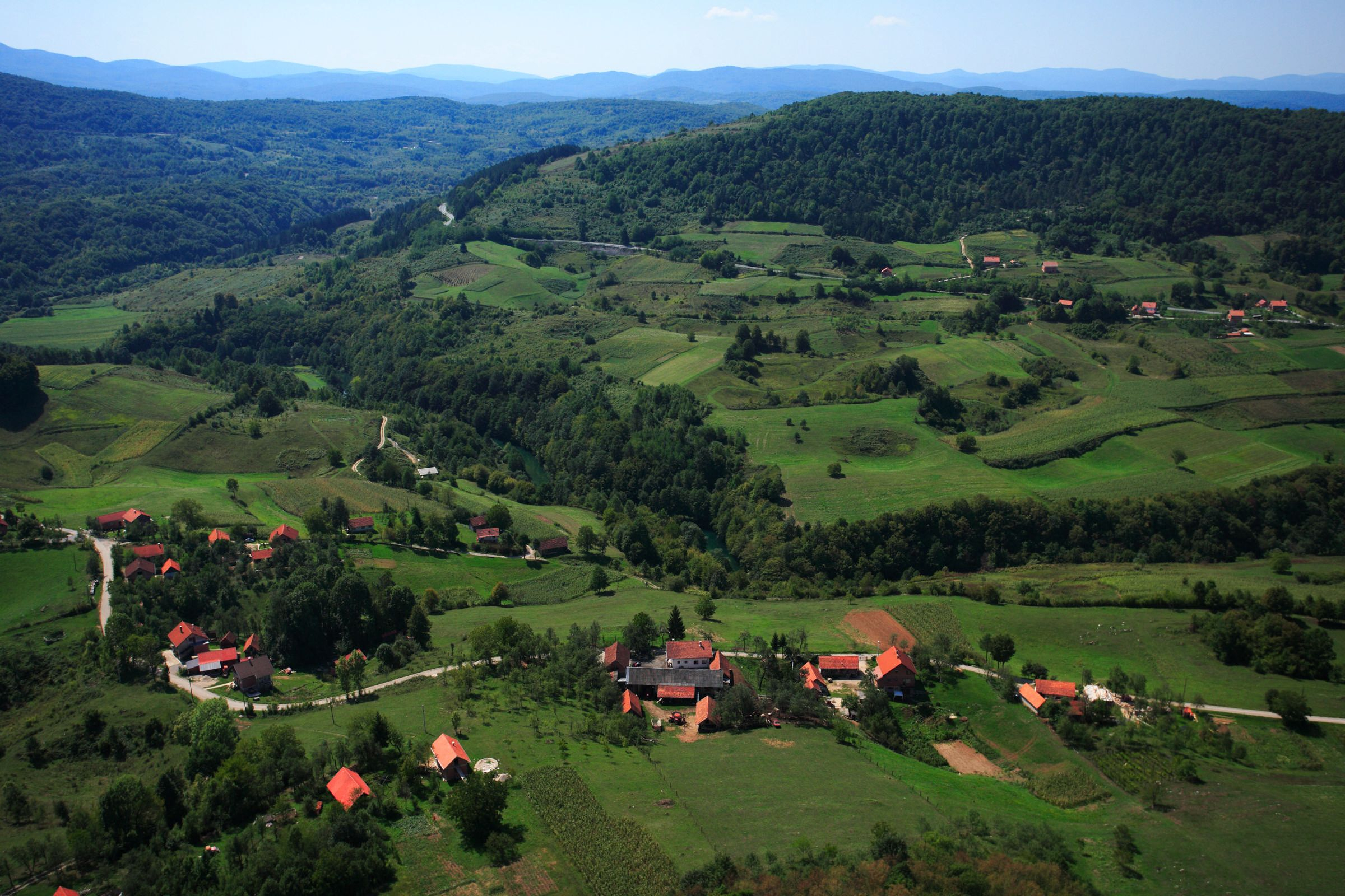 Copyright Romulic and Stojcic