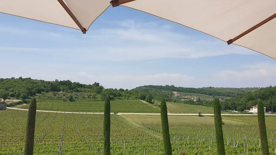 inland-istria_7.jpg