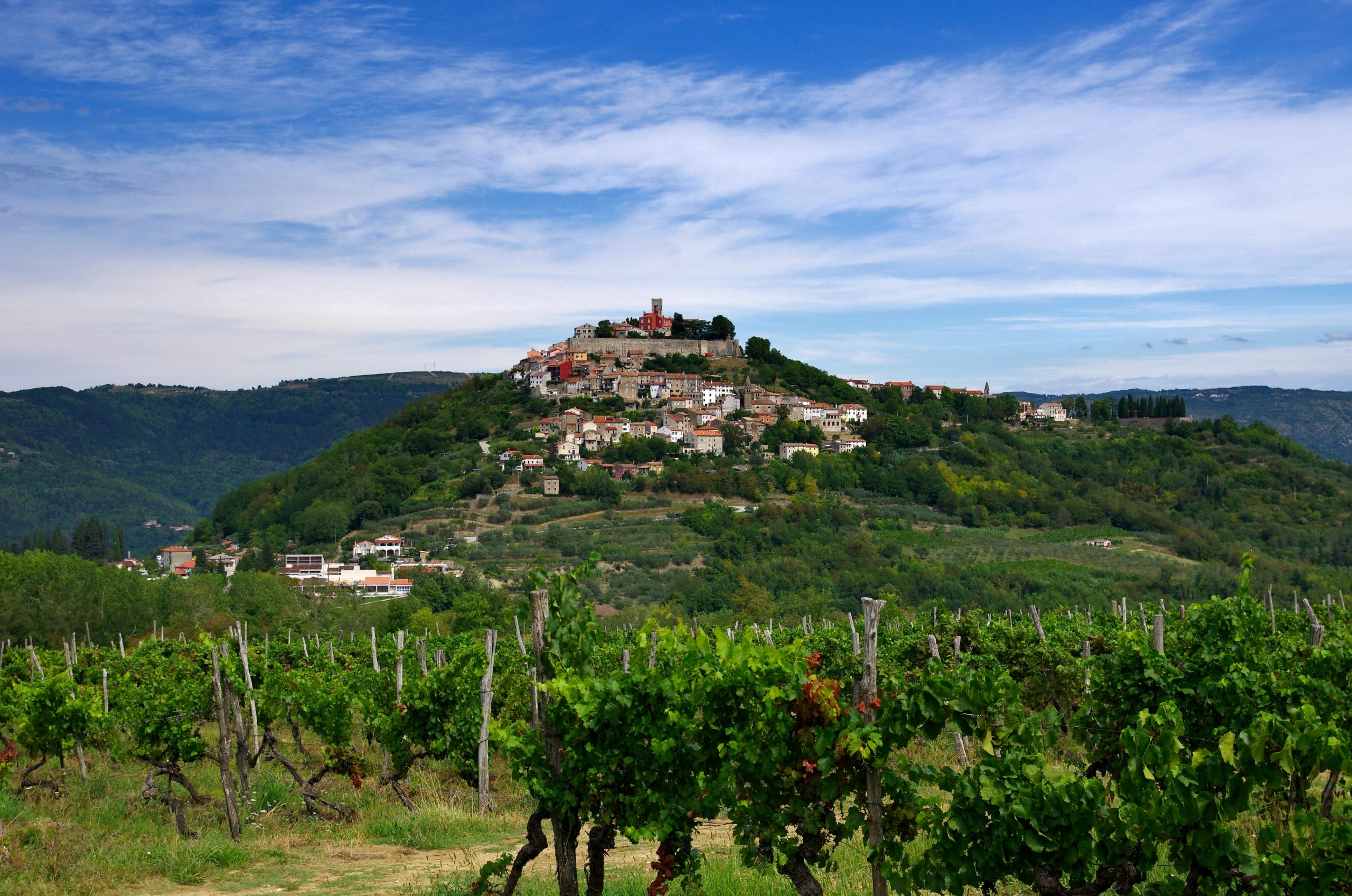 istrian production